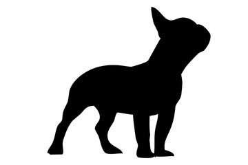 Silhouette of the body of a French bulldog standing on the side