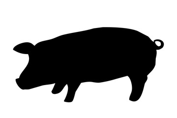 black silhouette of a pig's body standing on the side
