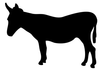 black silhouette of a donkey's body standing on the side