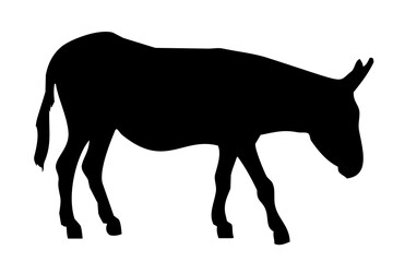 black silhouette of a donkey's body standing on the side