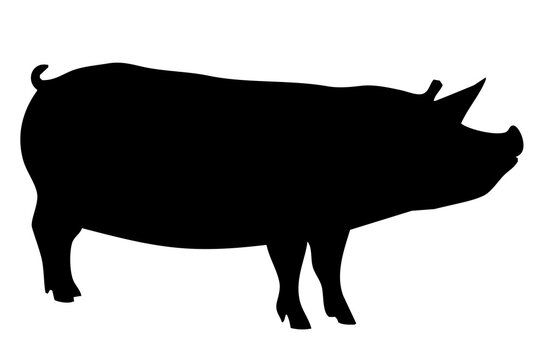 black silhouette of a pig's body standing on the side