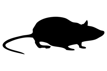 black silhouette of a rat's body standing on the side