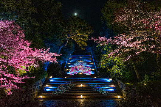 Projection mapping on the stairs leading to the main temple grounds.