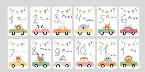 Cute set monthly milestone cards. Baby postcards with numbers and animals by car newborn boy or girl. Print baby shower, baby's birthday. Kids collection of 1-11 months and 1 year. Cartoon bear, panda - obrazy, fototapety, plakaty