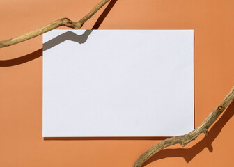 Organics modern minimal product banner with white paper sheet with copy space and dry tree on...
