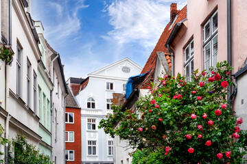 Fototapeta na wymiar Beautiful street with plants and roses in the old town of Lübeck, Germany