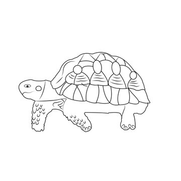 line art tortoise design vector