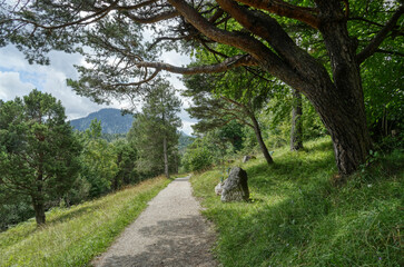 Panoramaweg in den Bergen bei Mittenwald