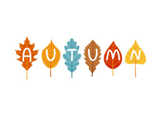 Autumn lettering on leaves fall season vector