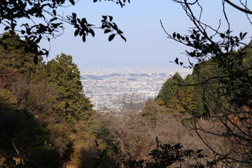 福岡市を油山山頂からの望む風景