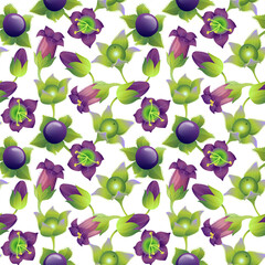 Floral vector seamless ornament with belladonna plant on white background. Seamless pattern.  Wrapping paper, scrapbooking, fabric, decor, decoration.