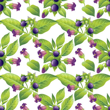 Floral vector seamless ornament with belladonna plant on white background. Seamless pattern.  Wrapping paper, scrapbooking, fabric, decor, decoration.