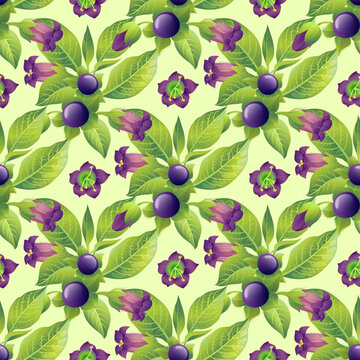 Floral vector seamless ornament with belladonna plant on green background. Seamless pattern.  Wrapping paper, scrapbooking, fabric, decor, decoration.