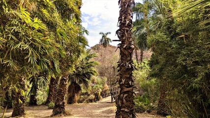 Orman Garden in Giza in Egypt