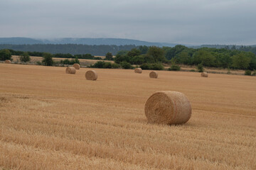 Strohballen auf dem Feld