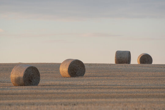 Strohballen auf dem Feld