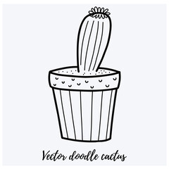 Vector doodle cactus illustration. Black line art house plant in a pot. Great for different kind of designs and backgrounds