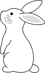 ウサギ