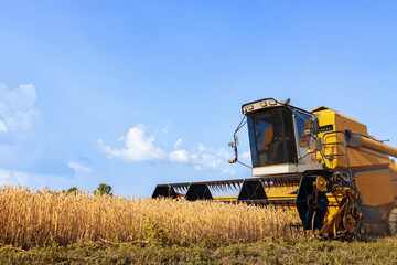 combine harvester cutting ripe wheat on field