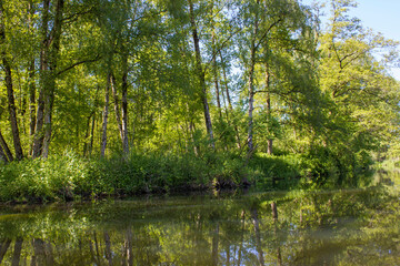 Niers River, Lower Rhine Region, Germany