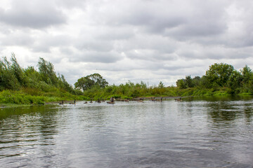 Niers River, Lower Rhine Region, Germany