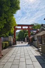 Gardinen A torii gate of Yasaka-jinja shrine.   Kyoto Japan  © haseg77