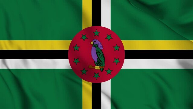 Dominica flag waving looping footage Full 4K (3840 x 2160) Realistic Dominica Flag Looping background. Looping Closeup Full 4K (3840 x 2160) footage. Dominica country flags. November 3, 1978