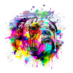 abstract colored dog muzzle isolated on colorful background