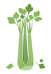 Celery. Green silhouette of celery and leaves isolated on white background. Vector illustration for packaging decor, menus and other projects.