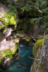 Fototapeta premium View of Avalanche Creek in Montana