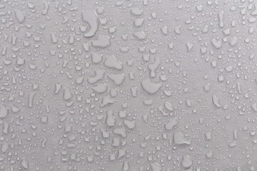 Water droplets on the gray background.