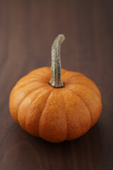 Cute orange pumpkin on wood table with