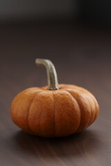 Cute orange pumpkin on wood table with copy space
