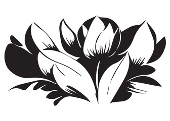 Floral Black and White Illustration