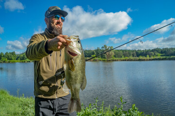 Bass fishing. Large bass fish in hand of pleased bearded fisherman with tackle. Largemouth perch at pond - obrazy, fototapety, plakaty