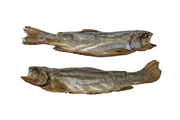 Smoked fish isolated on white. Dried kippered trout fish