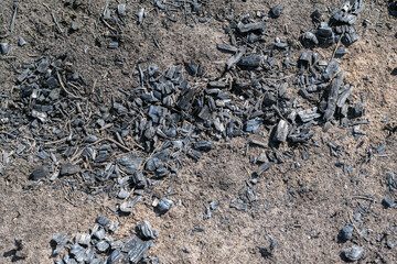Black surface of the rural field with a burned grass. Effects of grass fire on soils. Charred grass after a spring fire. Consequences of arson and stubble burning. Aftermath of Natural Disasters.