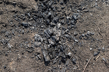 Fototapeta premium Black surface of the rural field with a burned grass. Effects of grass fire on soils. Charred grass after a spring fire. Consequences of arson and stubble burning. Aftermath of Natural Disasters.