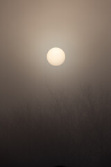 sunrise with strong fog looks like the moon