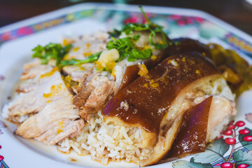 pork leg rice on a plate