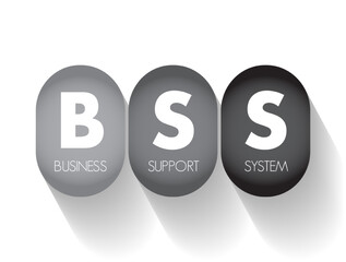 BSS Business Support System - components that a telecommunications service provider uses to run its business operations towards customers, acronym text concept background