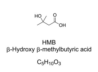 HMB, beta-Hydroxy beta-methylbutyric acid, chemical formula. Naturally produced substance in humans, used as a dietary supplement, and as ingredient in certain medical foods to promote wound healing.