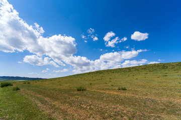 The beauty of the prairie