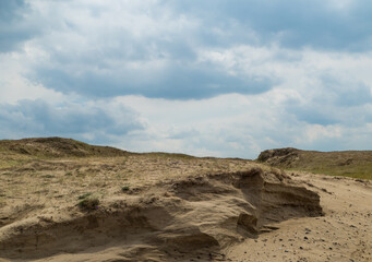 Wild Dune Landscape Netherlands