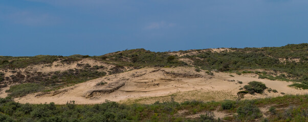 Panorama of Dune Landscape Noordwijk Netherlands