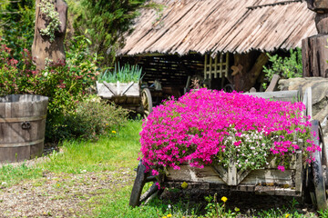 drewniany wóz wypełniony kwiatami w starym ogrodzie - obrazy, fototapety, plakaty