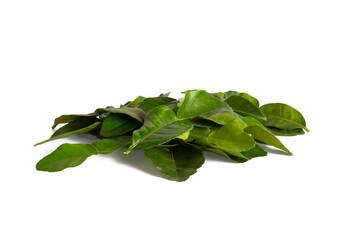 kaffir lime isolated on a white background