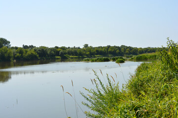 Natural landscapes of the Bug River - trees, hills, reeds, grass, water lilies, clear and transparent water. The river is located on the village of Rybienko Nowe, the city of Wyszkw, Poland.