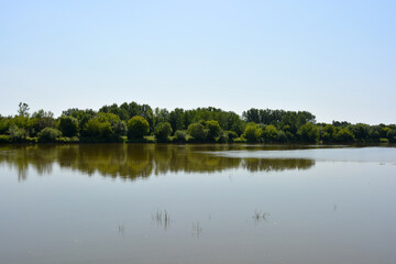 Natural landscapes of the Bug River - trees, hills, reeds, grass, water lilies, clear and transparent water. The river is located on the village of Rybienko Nowe, the city of Wyszkw, Poland.