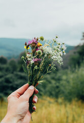 close-up on a bouquet of wild flowers in a female hand